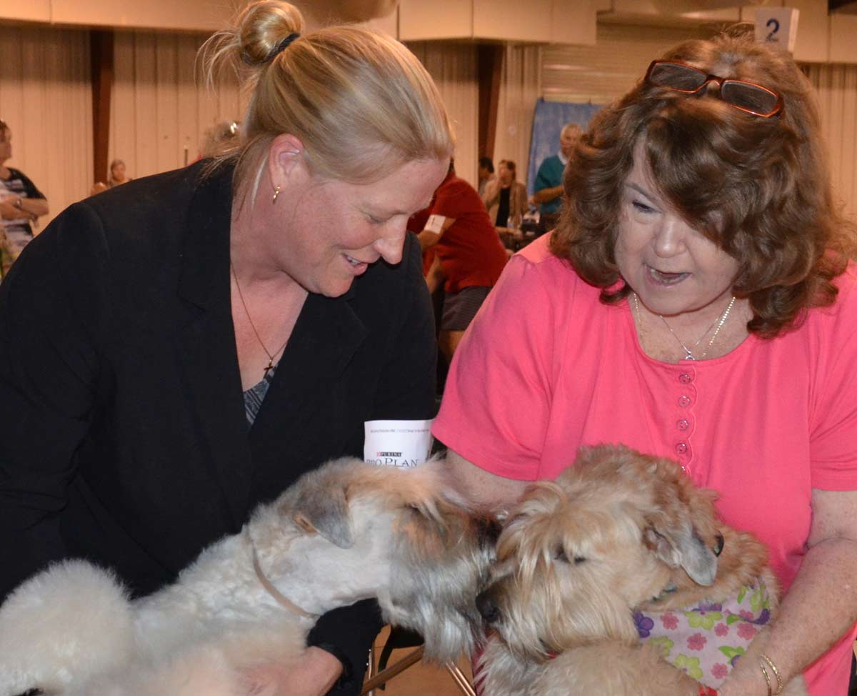 Fiona and Piper (Littermates) Meet Up at Orlando Dog Show - 2015